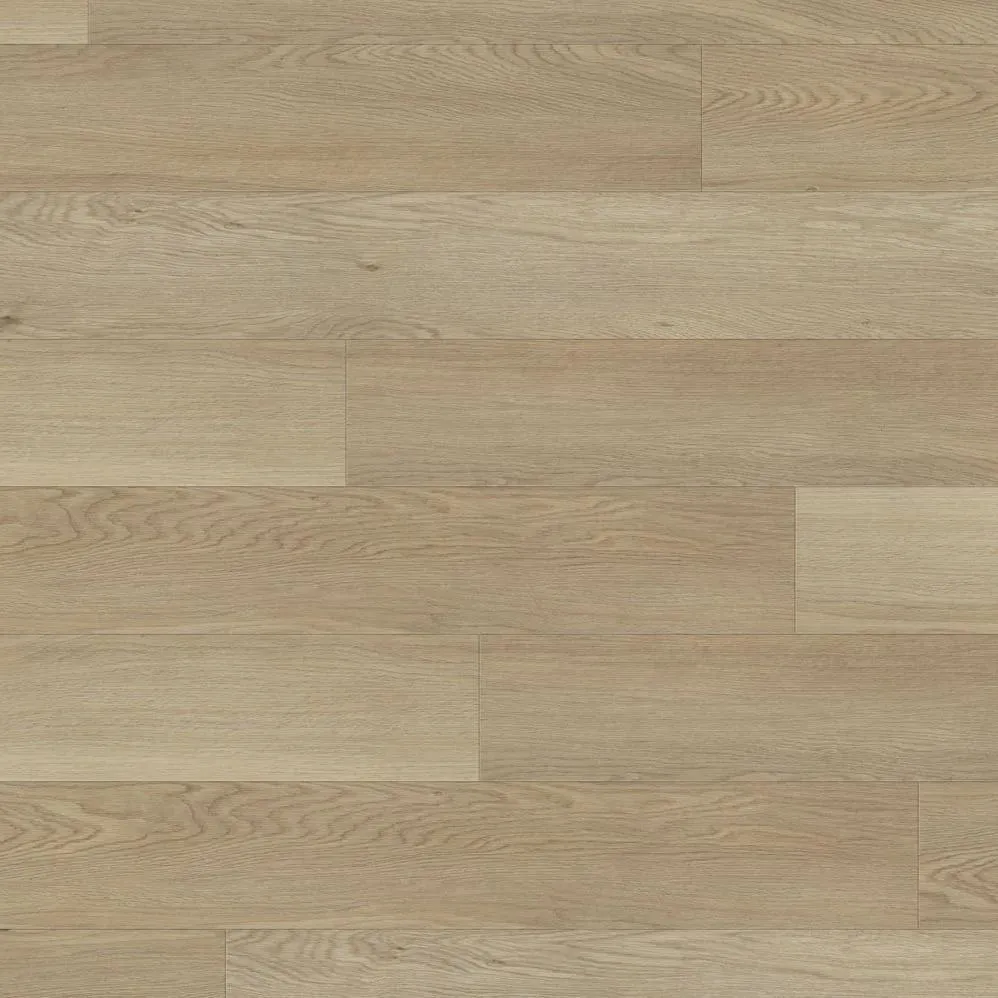 Tidal Nature Hopedale Vinyl Plank Flooring (TIDAL2283 - Beaulieu)