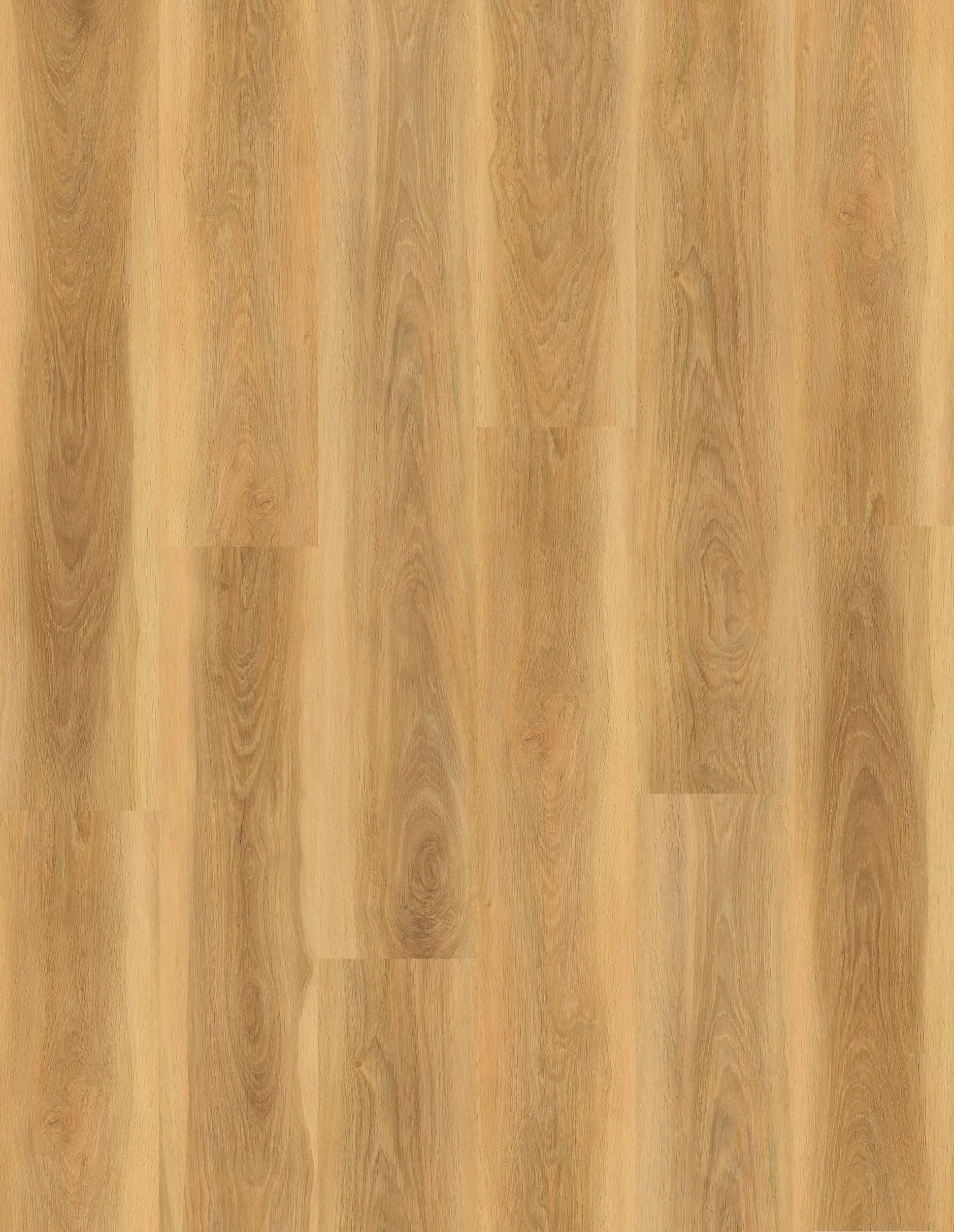 Kelowna Belgo Vinyl Plank Flooring (725423218 - Goodfellow)