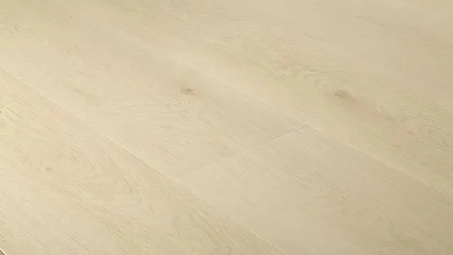 Bliss Morning Dew Vinyl Plank Flooring (VBLMORN90L060 - Grandeur Flooring)