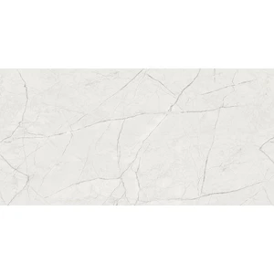 Secco Everest Plus Pietra Bella Gray 12" x 24" Vinyl Plank Flooring (SPC-5228 - Mono Serra) | Floors & Baths Pro's