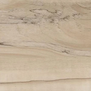 Prescott Akadia Vinyl Plank Flooring (VTRAKADIA7X48-6.5MM-20MIL - MSI Surfaces) | Floors & Baths Pro's