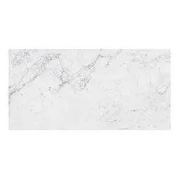 Trecento Carrara Avell 12" x 24" Vinyl Plank Flooring (VTRCARAVE12X24-5MM-12MIL - MSI Surfaces)