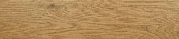 Woodhills Aura Gold Oak Vinyl Plank Flooring (VTWAURGOL6.5X48-7MM - MSI Surfaces)