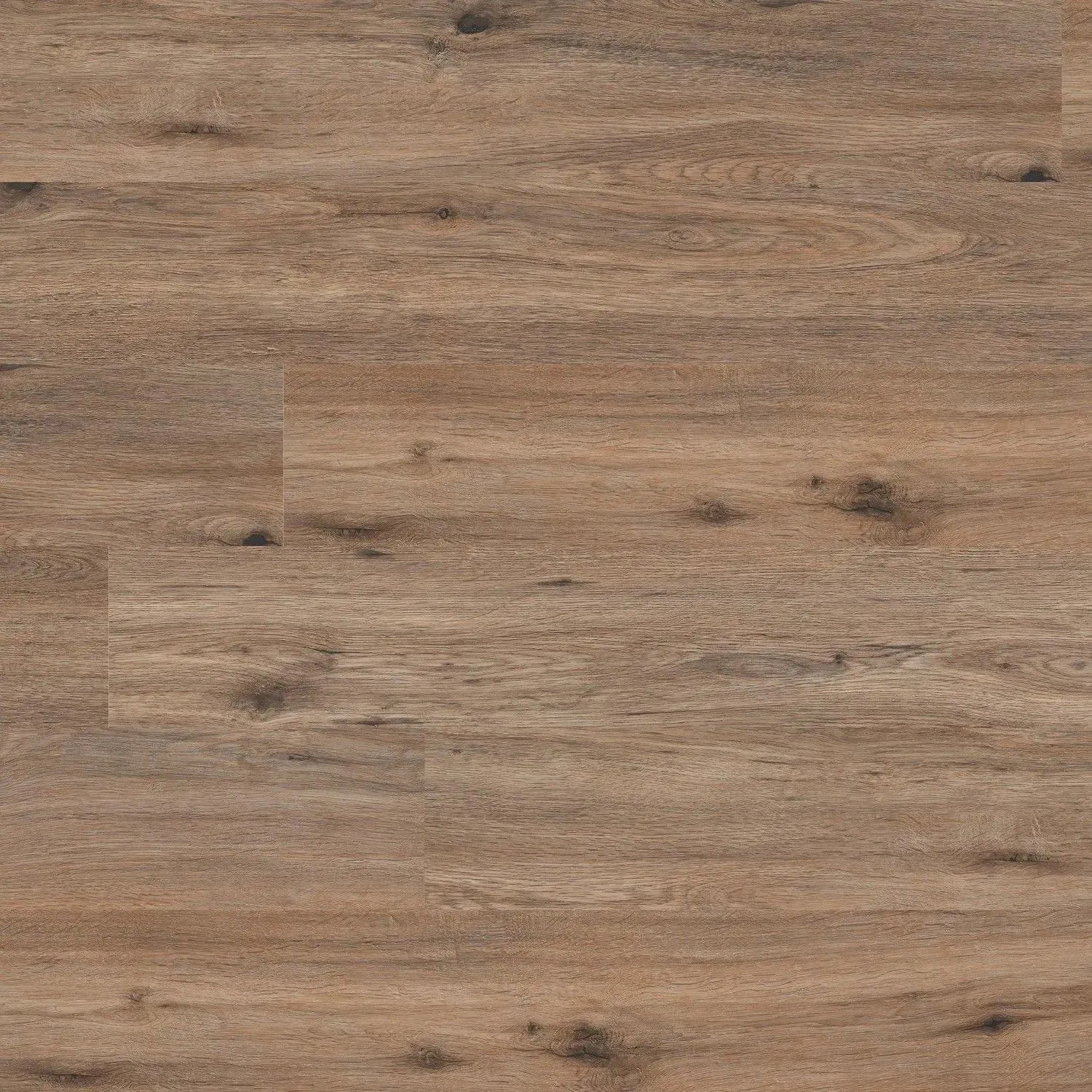 Cyrus Fauna Vinyl Plank Flooring (VTRFAUNA7X48-5MM-12MIL - MSI Surfaces)