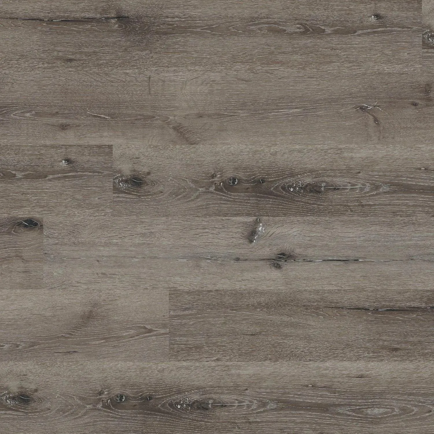 Cyrus Ludlow Vinyl Plank Flooring (VTRLUDLOW7X48-5MM-12MIL - MSI Surfaces)