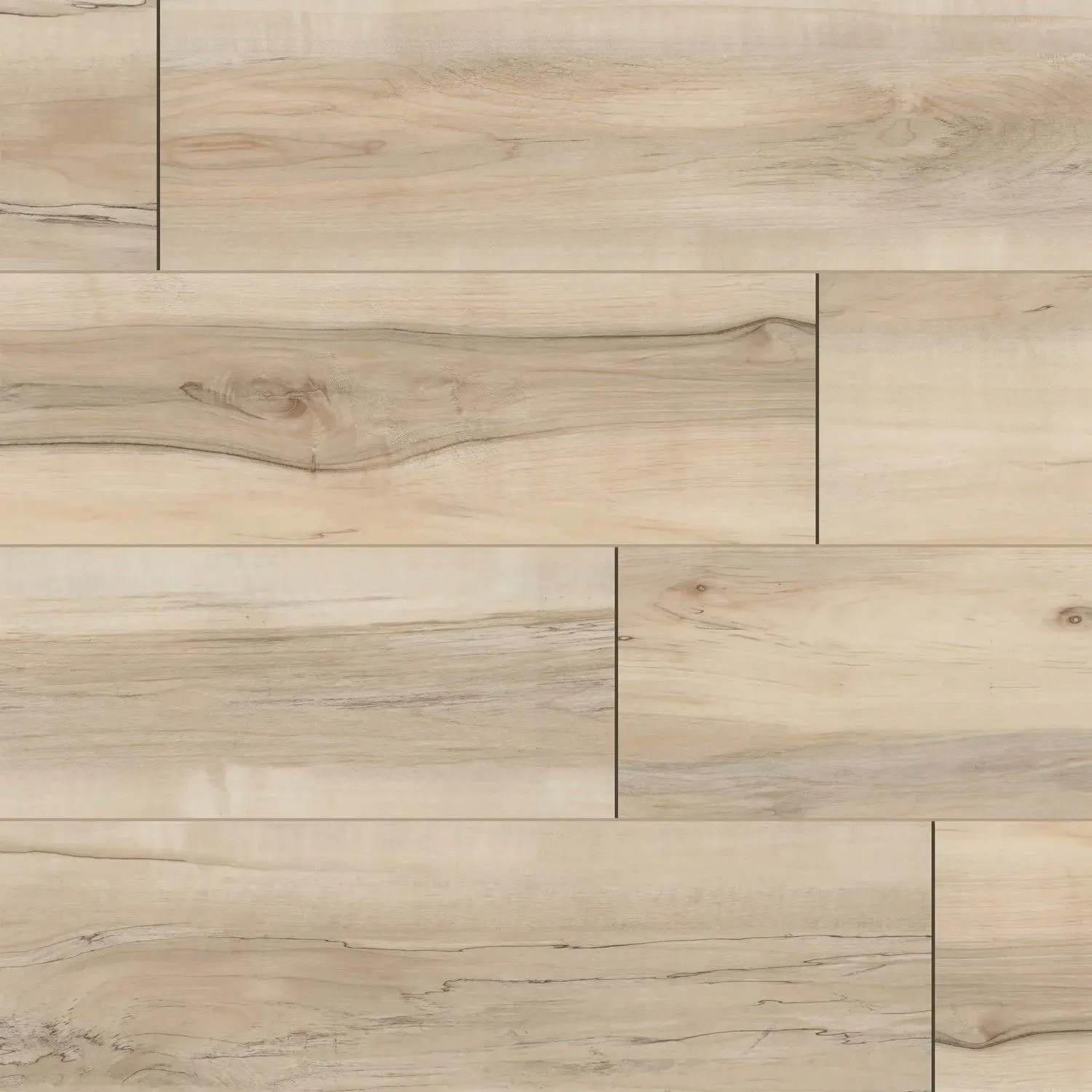 XL Cyrus Akadia Vinyl Plank Flooring (VTRXLAKAD9X60-5MM-12MIL - MSI Surfaces)