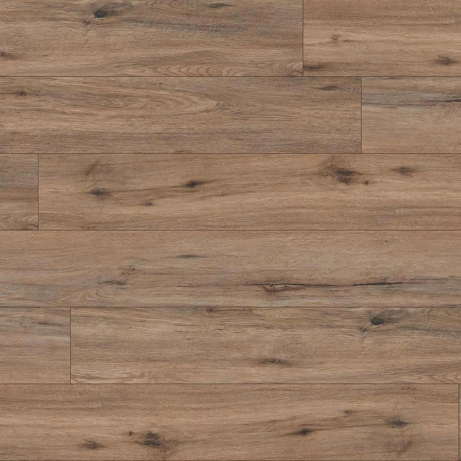 XL Cyrus Fauna Vinyl Plank Flooring (VTRXLFAUN9X60-5MM-12MIL - MSI Surfaces)