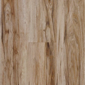StoneCast Incredible Light Oak Vinyl Plank Flooring (525-204 - Next Floor) | Floors & Baths Pro's
