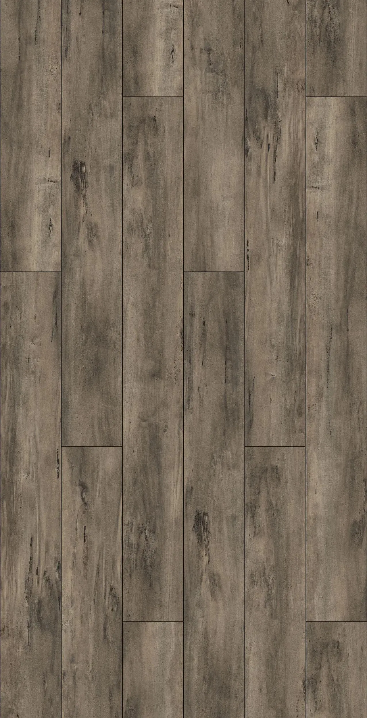 Taiga Voila Plus Abra Vinyl Plank Flooring (FVCVPPLANKABR - Taiga)