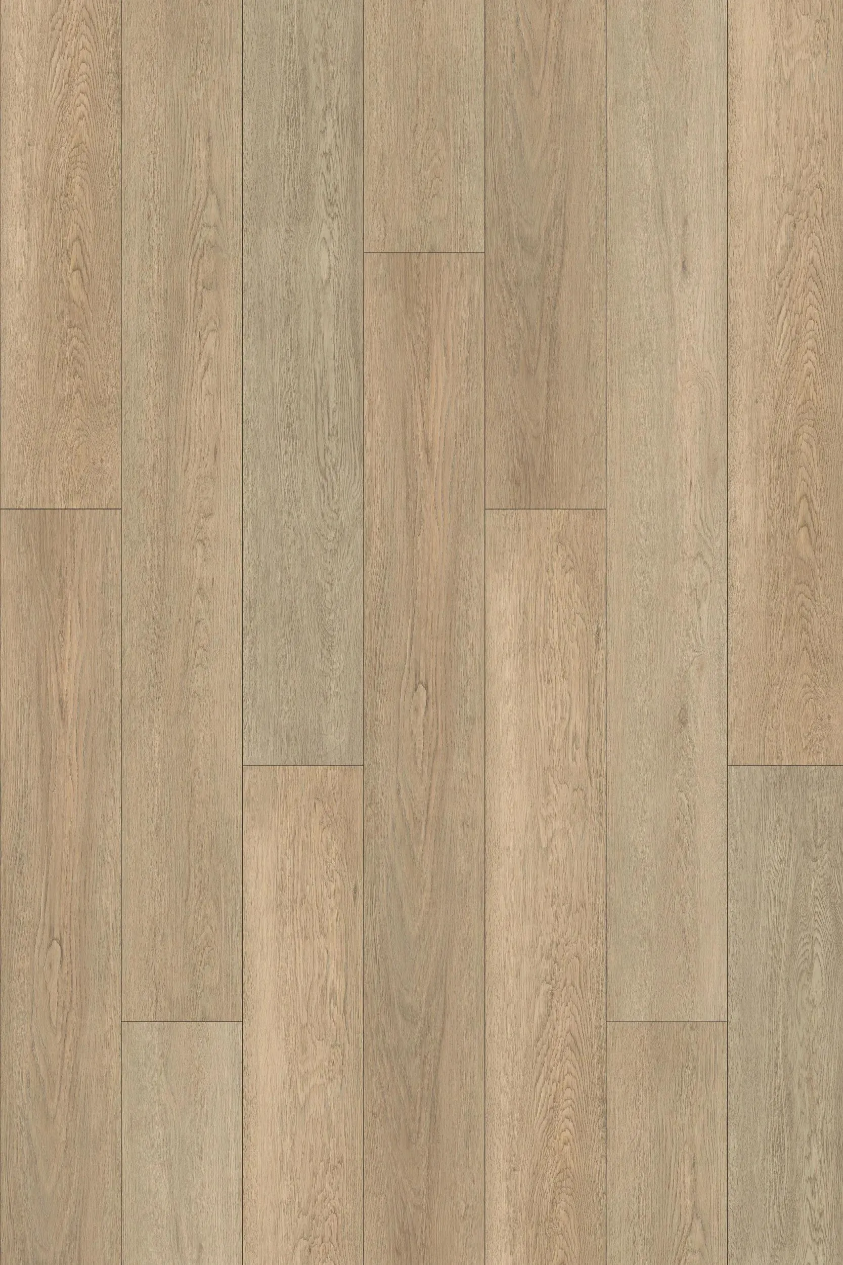 Taiga Voila Plus Presto Vinyl Plank Flooring (FVCVPPLANKPRO - Taiga)