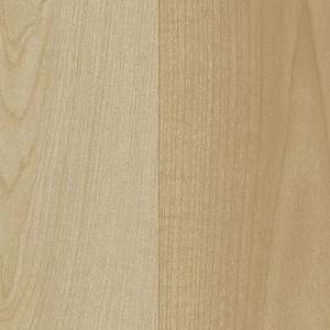 Acczent Maple 6-1/2' - 2mm Vinyl Sheet (25128141- Tarkett) | Floors & Baths Pro's