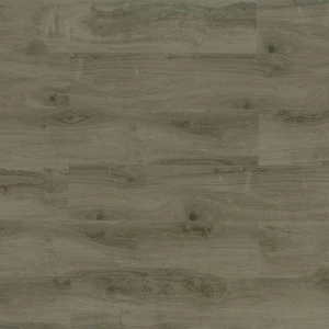  Reaktions SPC2 Series 203 Vinyl Plank Flooring (TFSPC203-F - Toucan) 