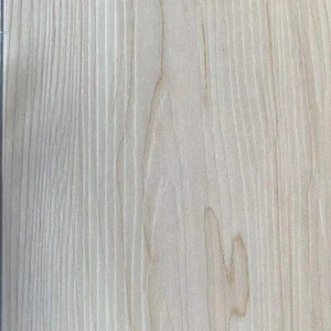  SPC2 Series 217 Vinyl Plank Flooring (TFSPC217-F - Toucan) 
