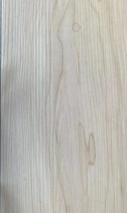 SPC2 Series 217 Vinyl Plank Flooring (TFSPC217-F - Toucan)