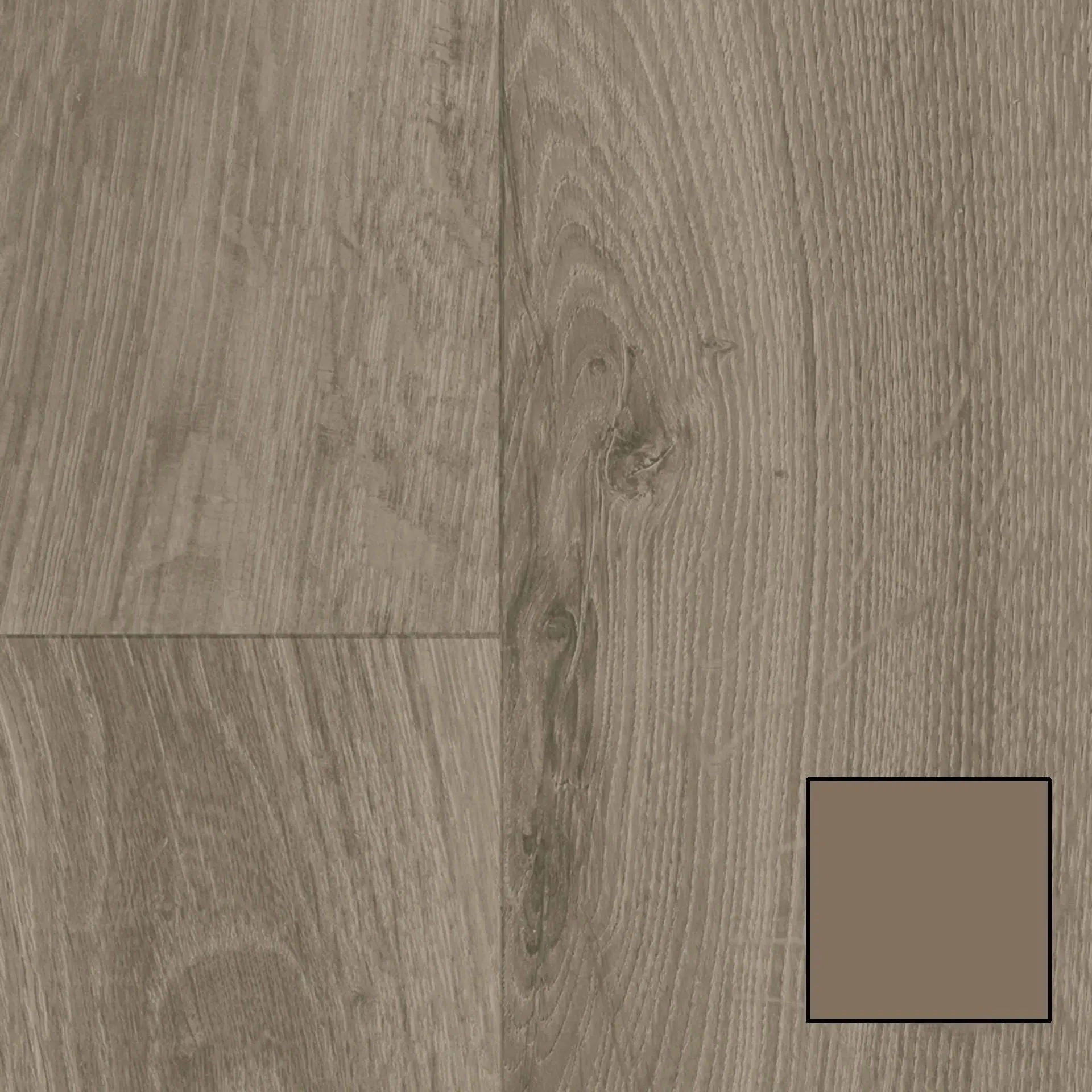 Acczent Wood 81000 French Oak Dark Grey 6' x 2mm Vinyl Sheet (25081000- Tarkett)