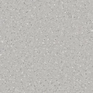 811 Light Grey 6-1/2' - 2mm Vinyl Sheet (21030811- Tarkett)
