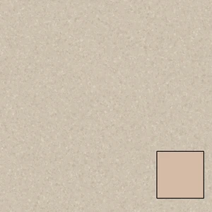 973 Sand Dollar 6.56' - 2mm Vinyl Sheet (21020973- Tarkett) | Floors & Baths Pro's