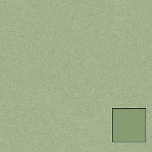 976 Aloe Plant 6.56' - 2mm Vinyl Sheet (21020976- Tarkett) | Floors & Baths Pro's