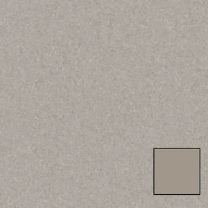 988 Functionality 6.56' - 2mm Vinyl Sheet (21020988- Tarkett) | Floors & Baths Pro's