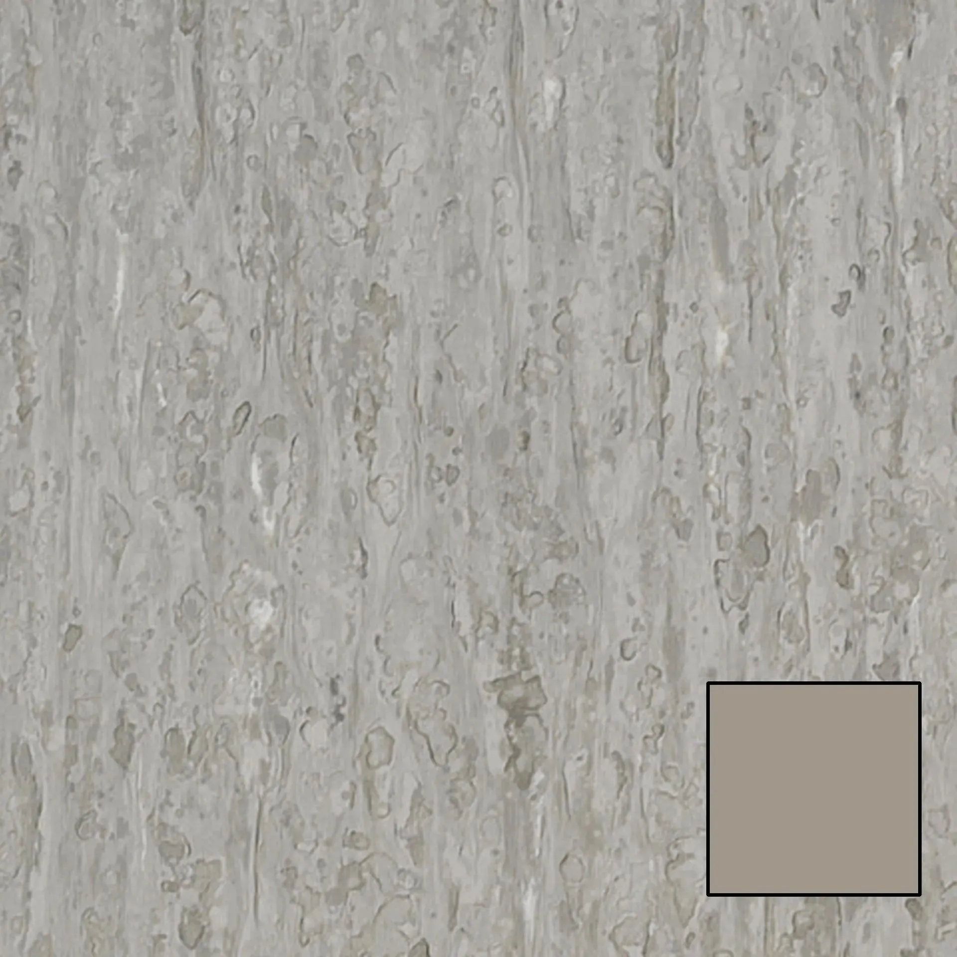iQ Optima 873 Koala Bear 6.5' - 2mm Vinyl Sheet (3242873- Tarkett)
