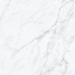  Lemmy Carrara White Polished 2" x 2" 566031002X2P Planchers 1867 Planchers 1867 Square Mosaic Tiles 