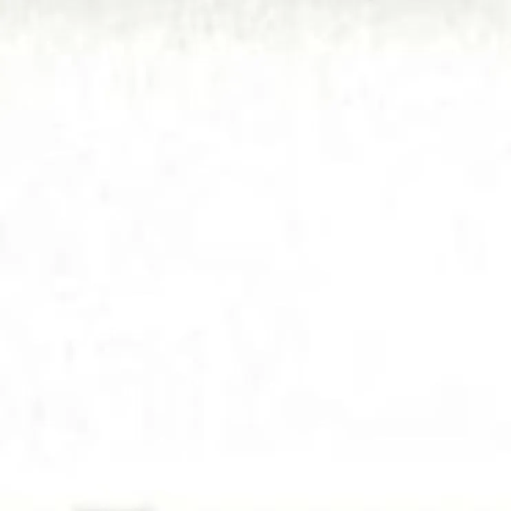 Type White Matte 2" x 2" 566041002X2N Planchers 1867 Planchers 1867 Square Mosaic Tiles