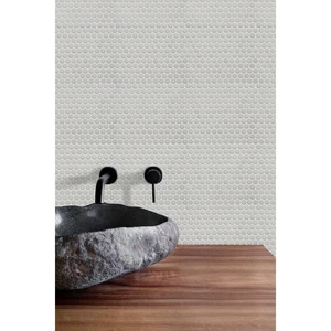 Image 2 of Mosaics Light Gris Penny Round Glossy 12" x 12" MS-140 Mono Serra Mono Serra Penny Round Mosaic Tiles sold at Floors & Baths Pro's