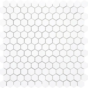  Scale Triangolo Terra Marble Dolomite Hexagon Polished 12" x 12" DOHEX Centura Hexagon Mosaic Tiles 