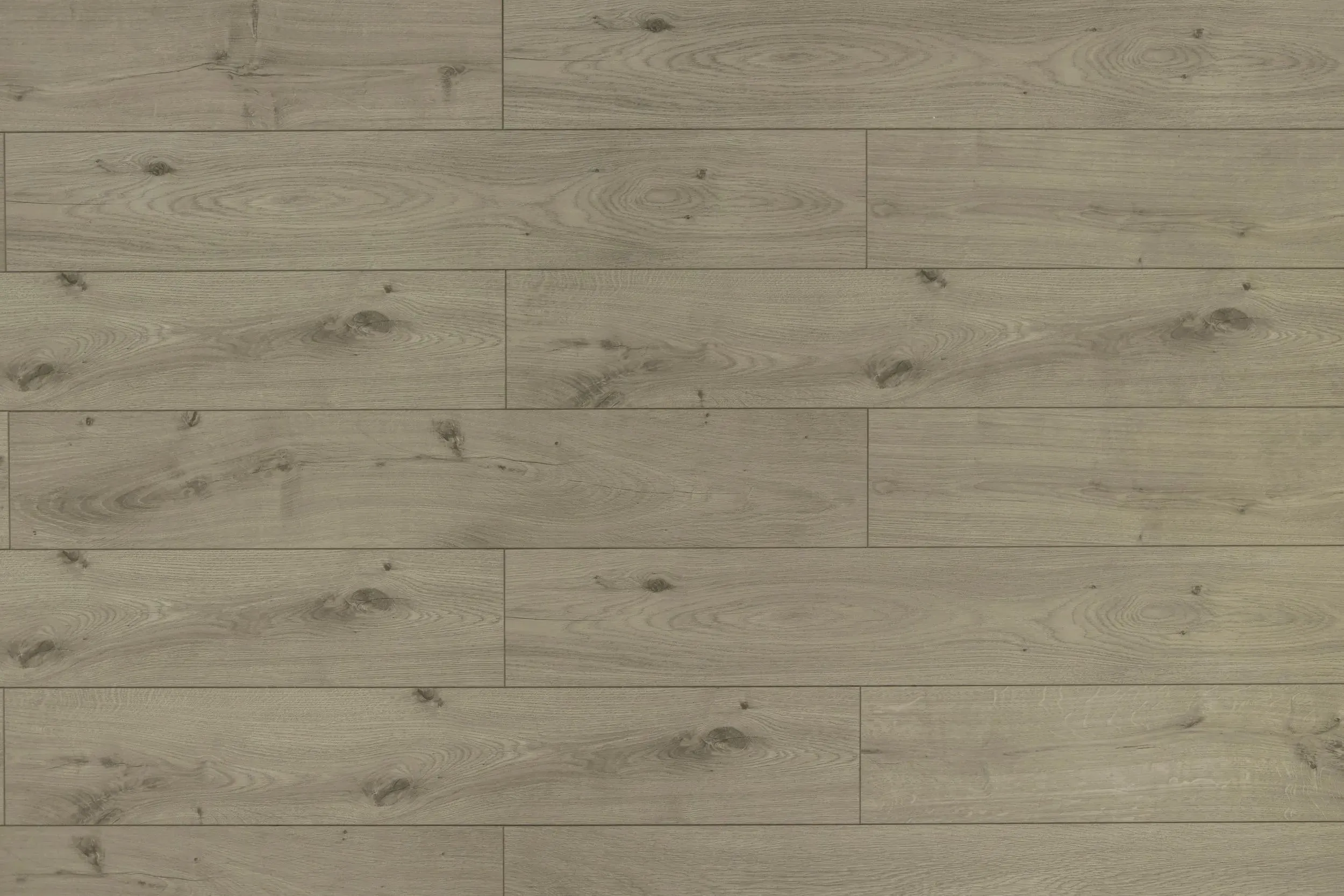 Toucan TF60 Series 6019 TF6019-F 6019 Laminate Flooring