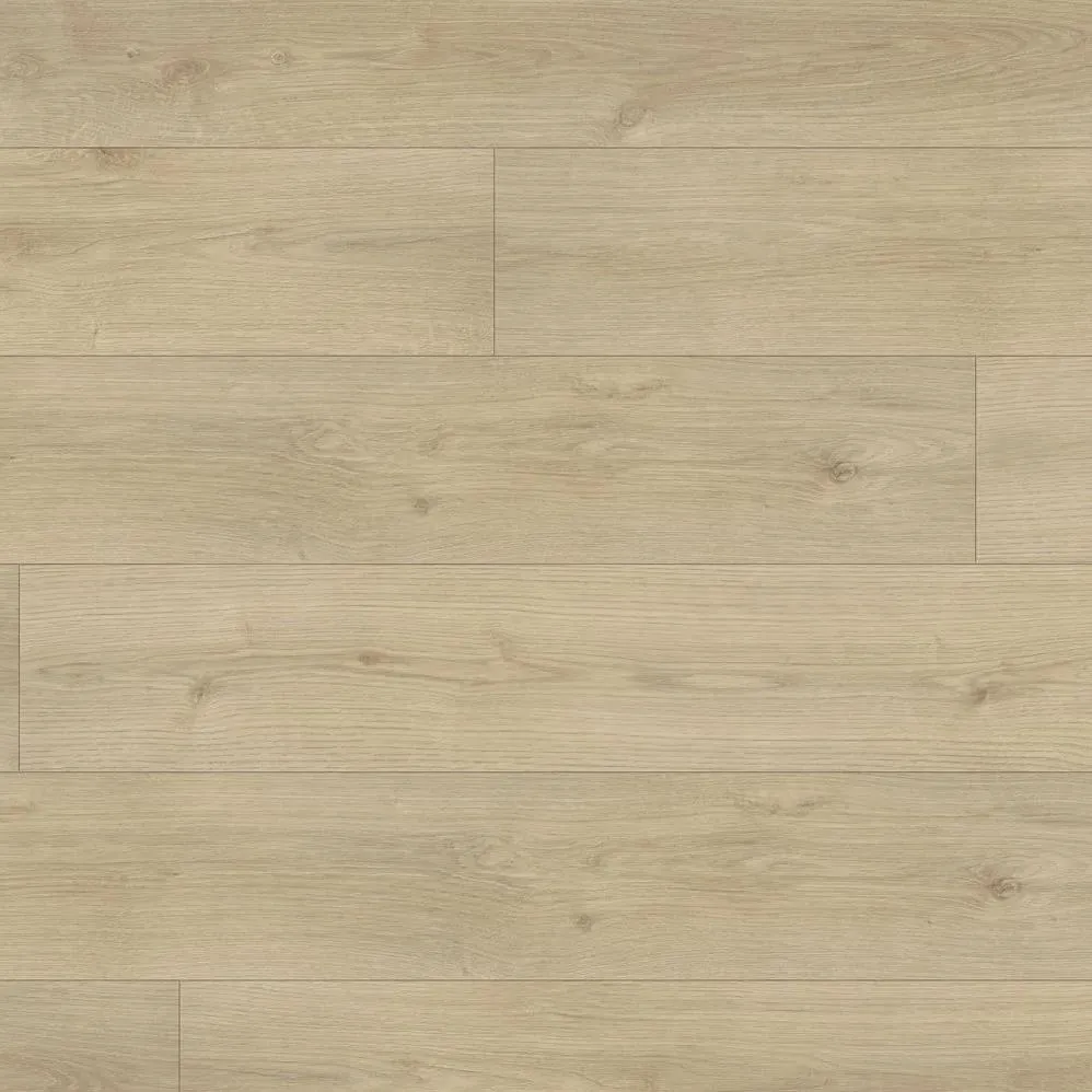 Beaulieu Conquest Xtra Barbarossa 1734 1734 Laminate Flooring