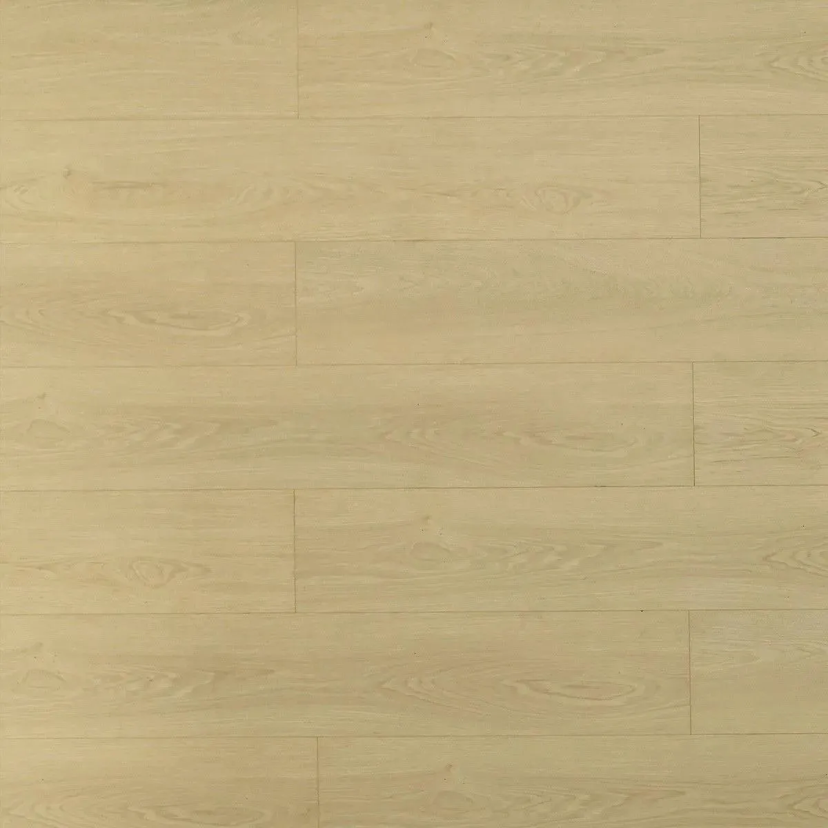 Toucan TF81 Series 8103 Bandelier TF8103 Laminate Flooring