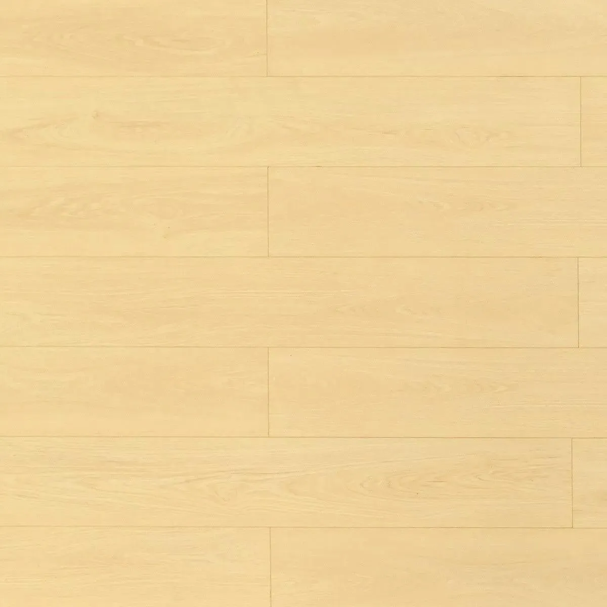 Toucan TF81 Series 8104 Dune TF8104 Laminate Flooring
