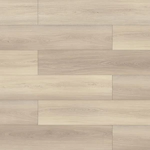 Accord Premium Medora RLAACCPMEDO Laminate Flooring | Floors & Baths Pro's