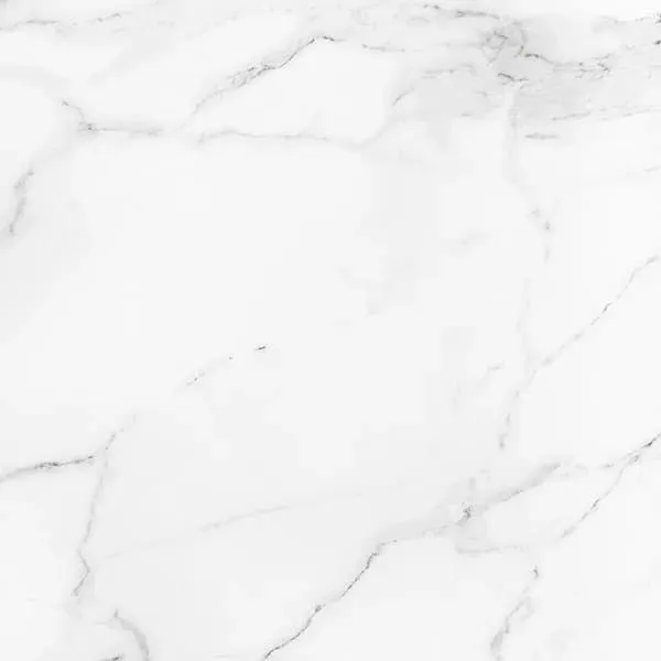Precious Calacatta Matte 24" x 24" (PRCA24M) Marble Look Floor Tiles