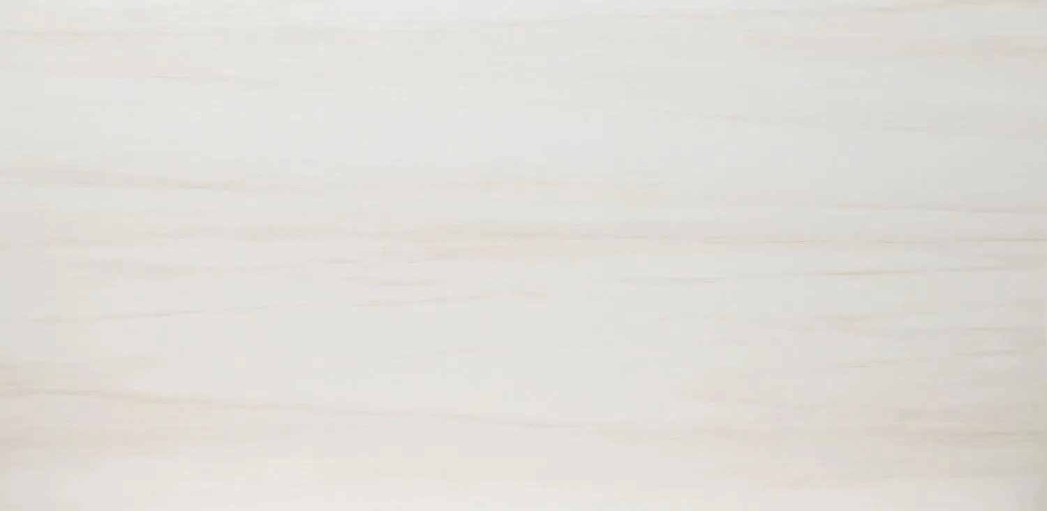 Eden Dolomite White-Cool Matte 12" x 24" (NEDEDOL1224) Marble Look Floor Tiles