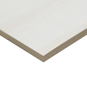 Image 3 of Eden Dolomite White-Cool Matte 12" x 24" (NEDEDOL1224) Marble Look Floor Tiles sold at Floors & Baths Pro's