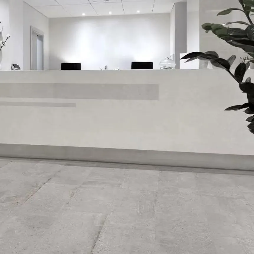 Stone Cement Grey Matte 24" x 24" (564456040N) Concrete Look Floor Tiles