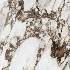 Image 2 of Bijoux Breche Capraia Matte 24" x 24" (766343) Marble Look Floor Tiles sold at Floors & Baths Pro's