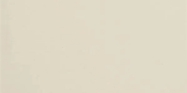 Time 2.0 Snow Natural 12" x 24" (36T21NR) Stone Look Floor Tiles