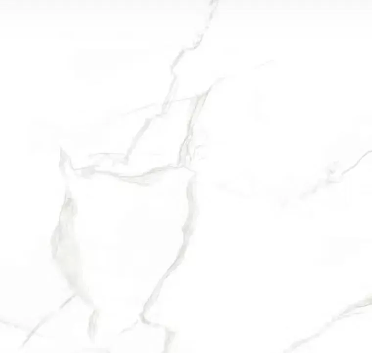 Delicato Matte 12" x 24" (566891120N) Marble Look Floor Tiles