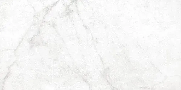 Antica Carrara White Matte 12" x 24" (AN0136) Marble Look Floor Tiles