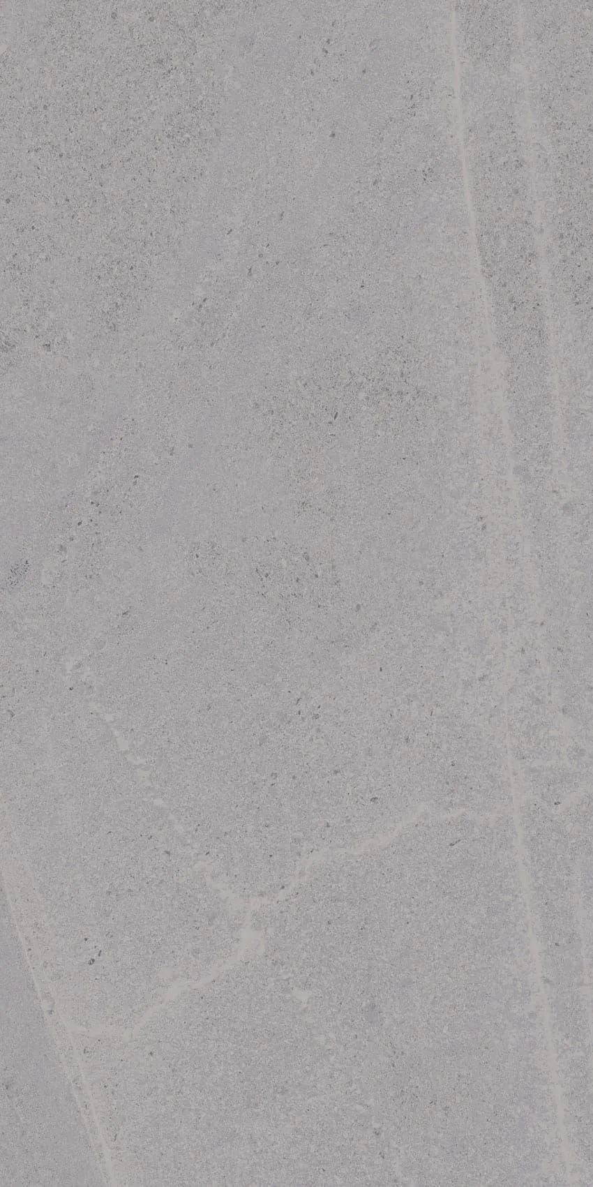 Seine Gris 12" x 24" (SEIGRI1224NR) Stone Look Floor Tiles