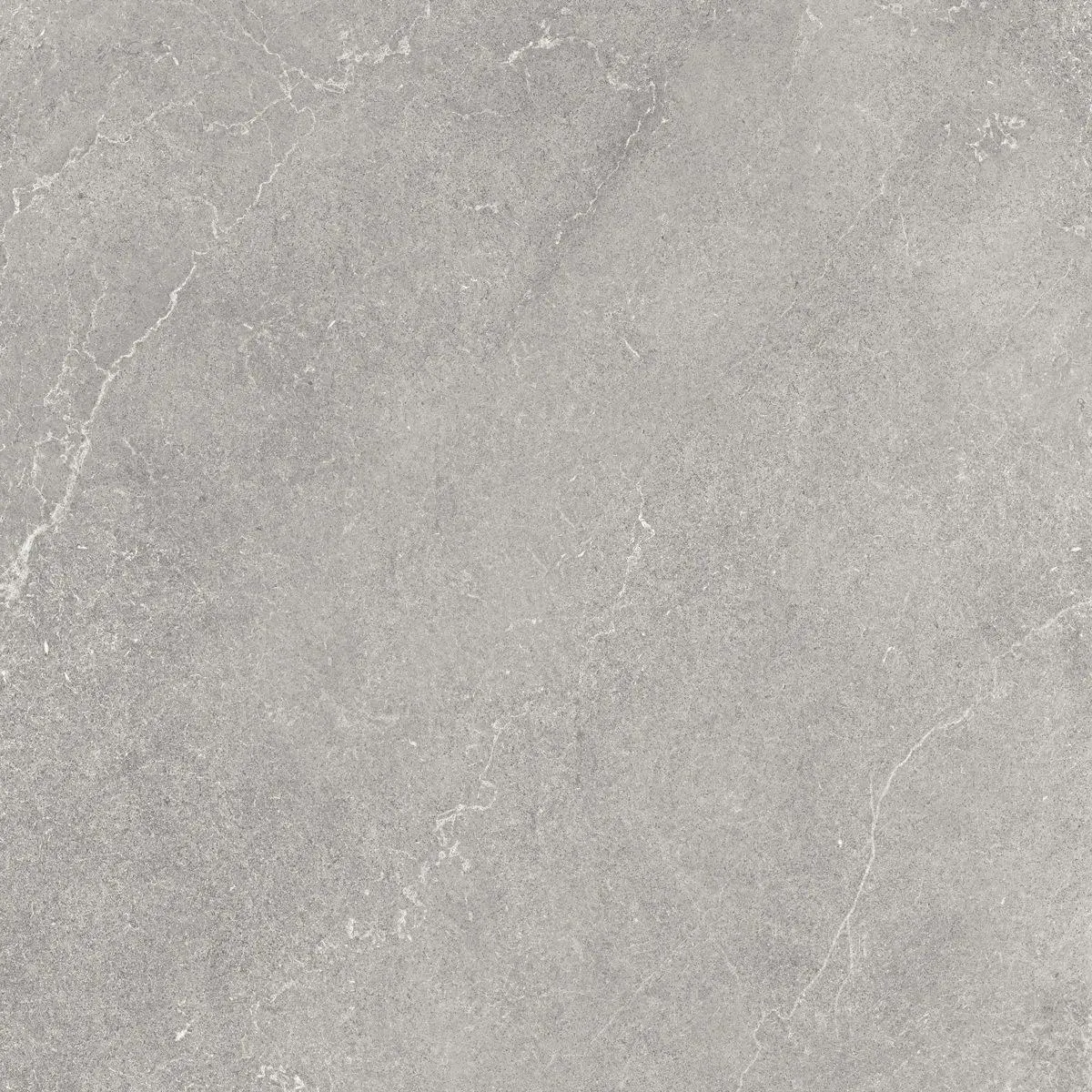Lithos Stone Natural 24" x 24" (15.34 sqft/box) (LIST24) Stone Look Floor Tiles