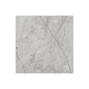  La Marca Paradiso Argento Honed 24" x 24" (4500-0874-0) Marble Look Floor Tiles 