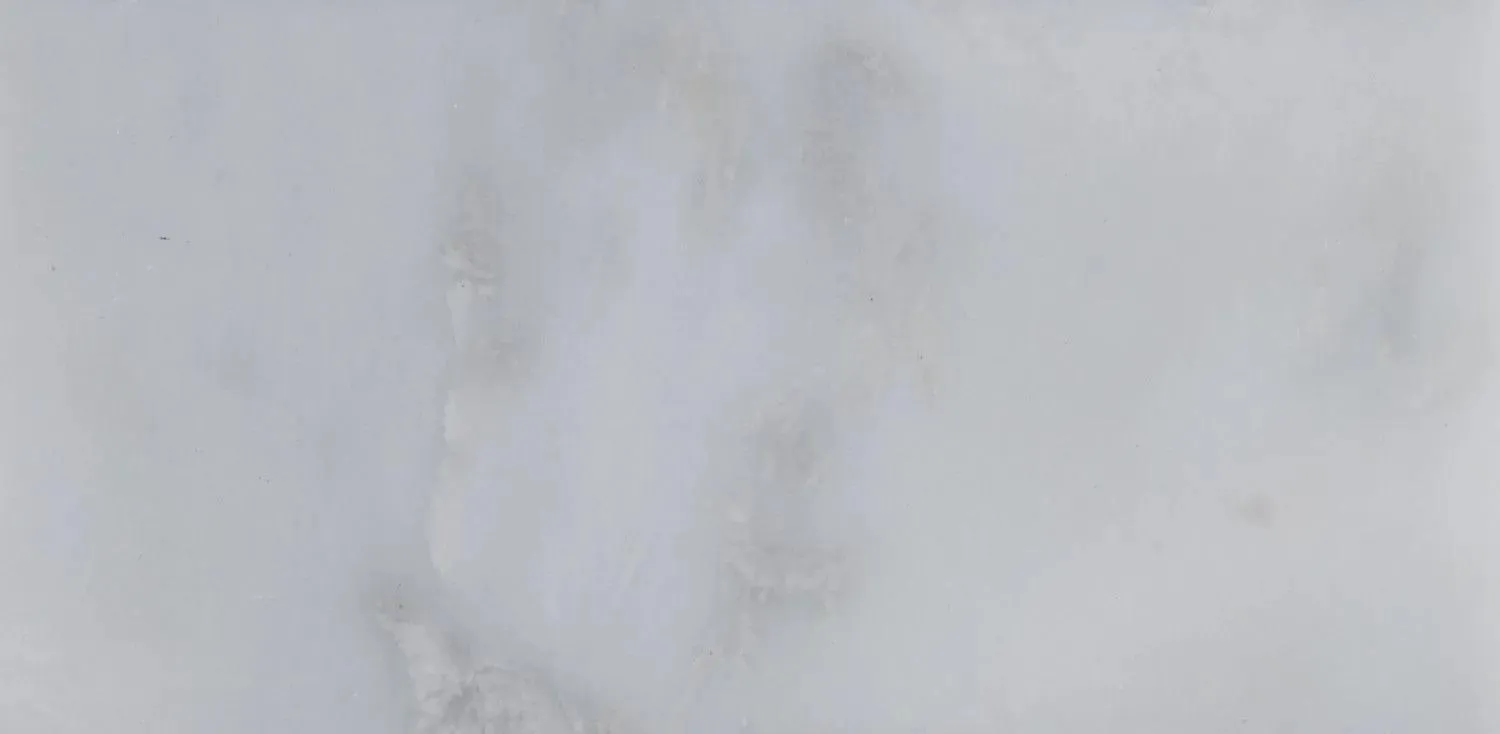 Arabescato Carrara White-Cool Honed 3" x 6" (TARACAR36H) Marble Look Floor Tiles