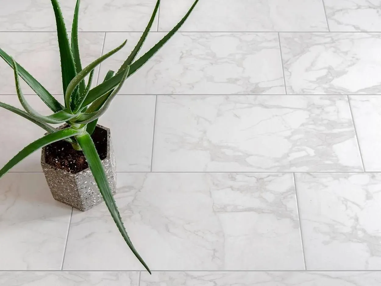 Sempre Carrara Matte 12" x 24" (SECA1224) Marble Look Floor Tiles