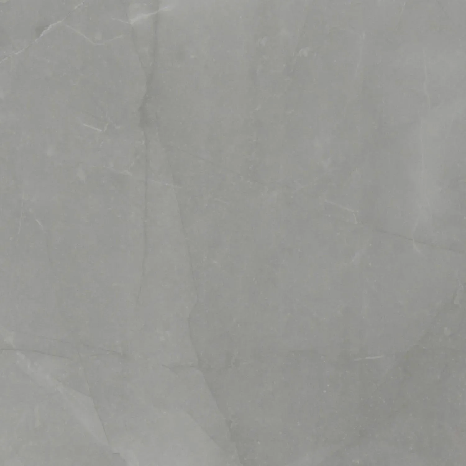 Sande Gray-Dark Matte 24" x 24" (NSANGRE2424) Marble Look Floor Tiles