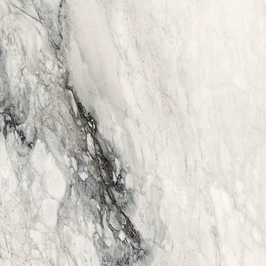 Image 2 of Étoile Renoir Natural 24" x 48" (761674) Marble Look Floor Tiles sold at Floors & Baths Pro's