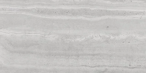 Reverso Silver Natural 24" x 48" (RV626R) Marble Look Floor Tiles