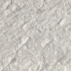 Image 5 of Silver Canyon Gray-Light Splitface 6" x 24" (LPNLMSILCAN624) Stone Wall Tile sold at Floors & Baths Pro's